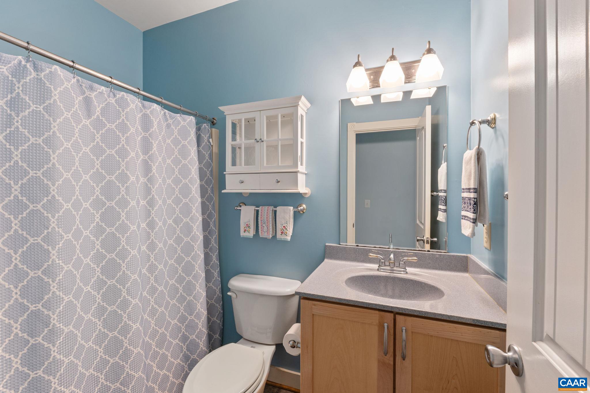 500 Rhue Hollow Road Roseland, VA 22967 - Photo 18 of 34 a bathroom with a sink and a mirror