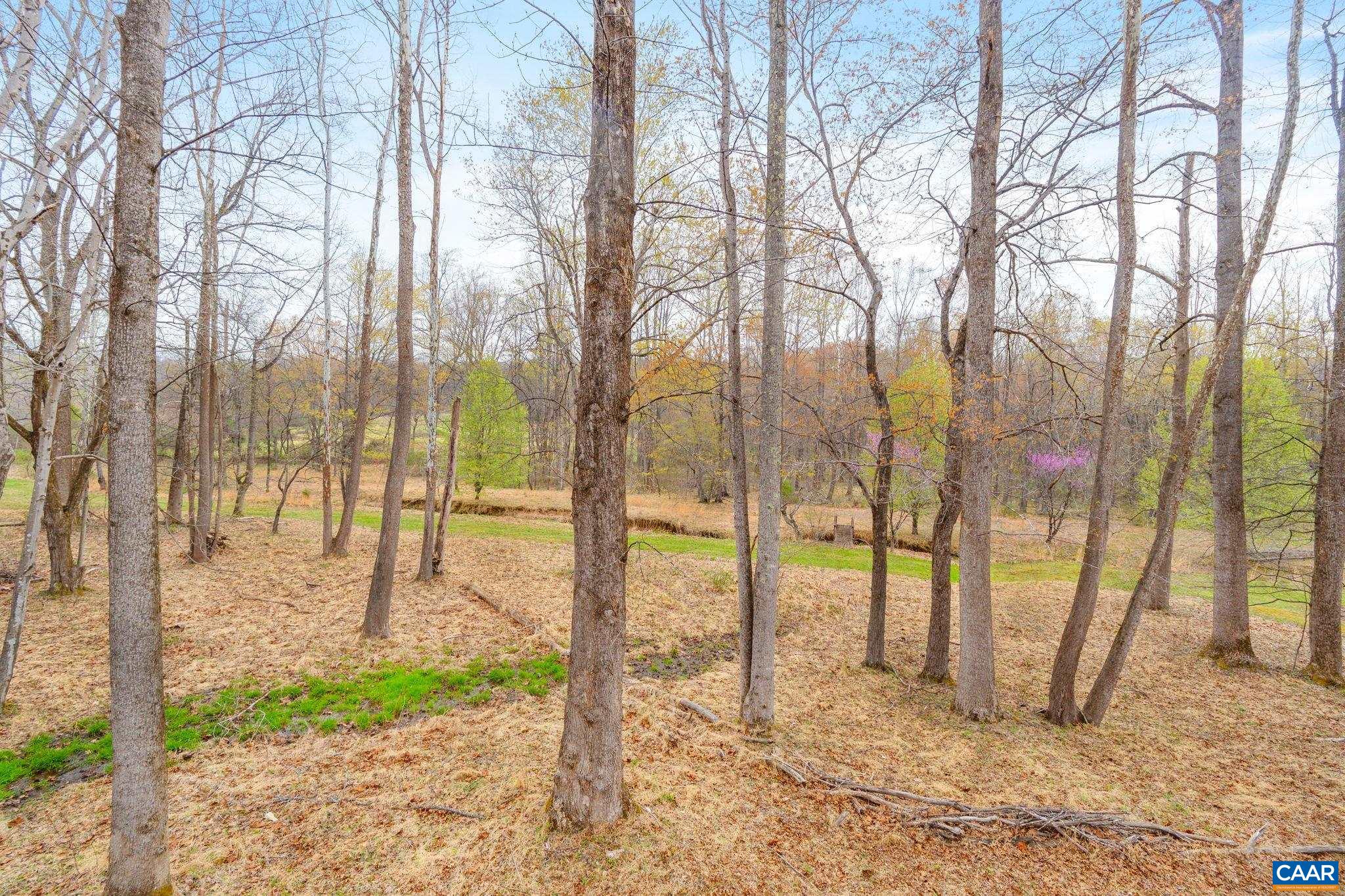 500 Rhue Hollow Road Roseland, VA 22967 - Photo 31 of 34 a view of tall trees with a house