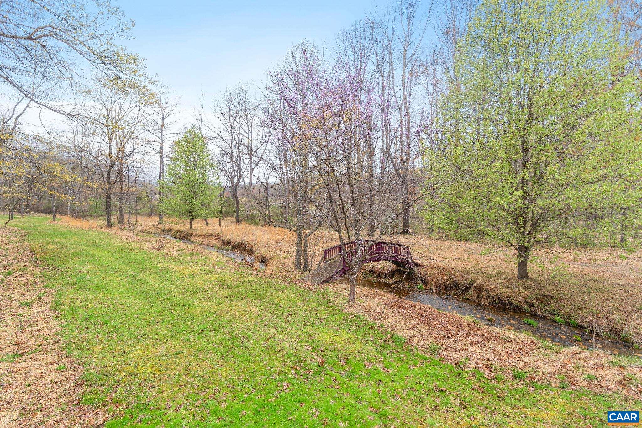 500 Rhue Hollow Road Roseland, VA 22967 - Photo 32 of 34 a view of backyard with tree
