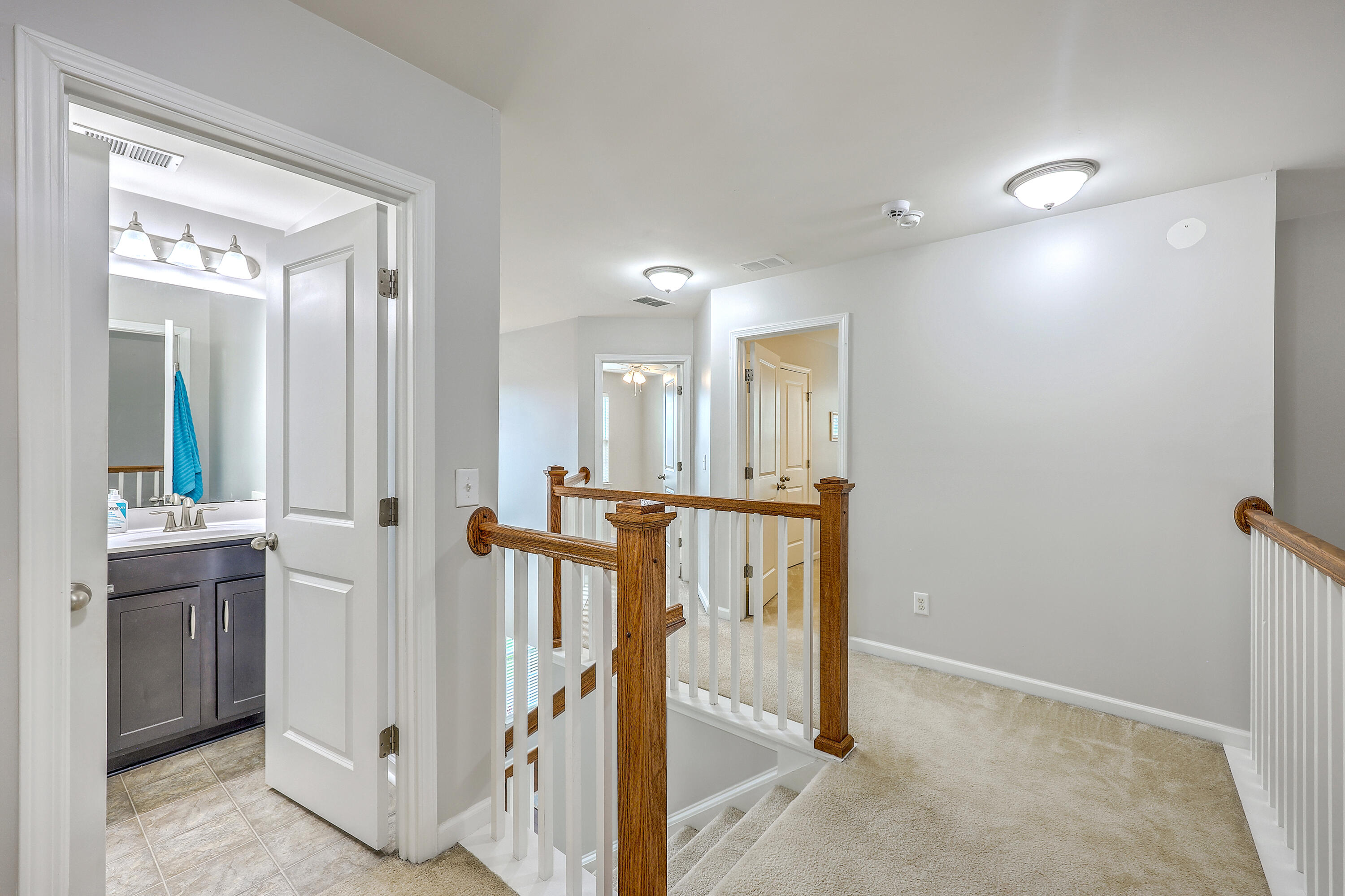 259 Spectrum Road Summerville, SC 29486 - Photo 27 of 49 ZYN_8244_45_46_47_48_49_50