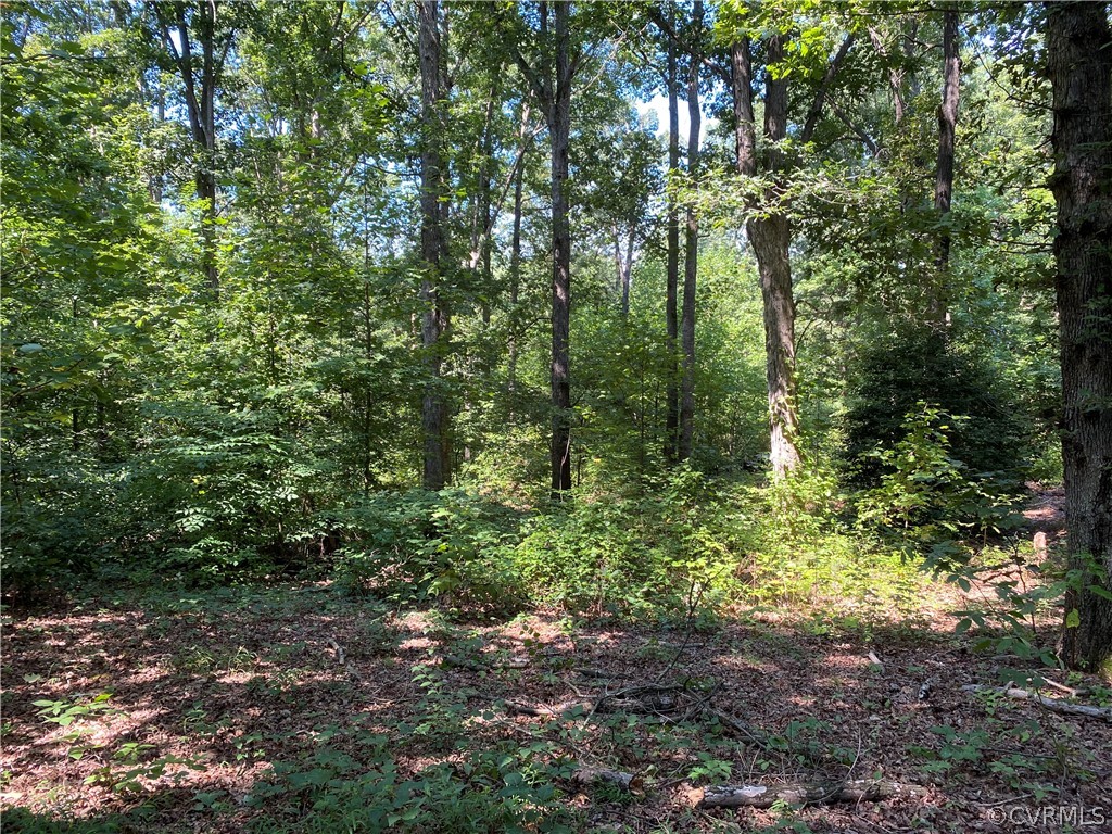 Three Chopt Road Manakin-Sabot, VA 23103 - Photo 3 of 6 a view of forest