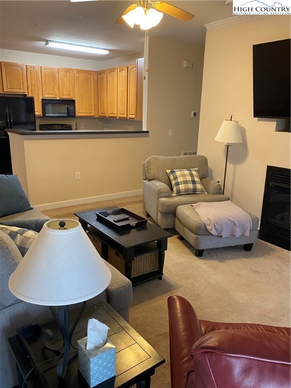 188 Cecil Miller Road, Unit 104 Boone, NC 28607 - Photo 5 of 17 Gallery Image 5