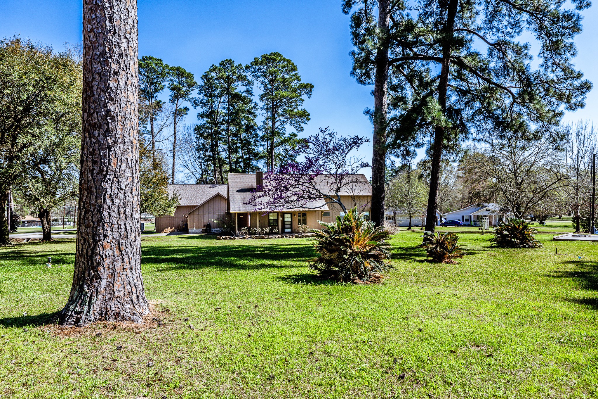 191 Timber Bay Drive Trinity, TX 75862 - Photo 39 of 48