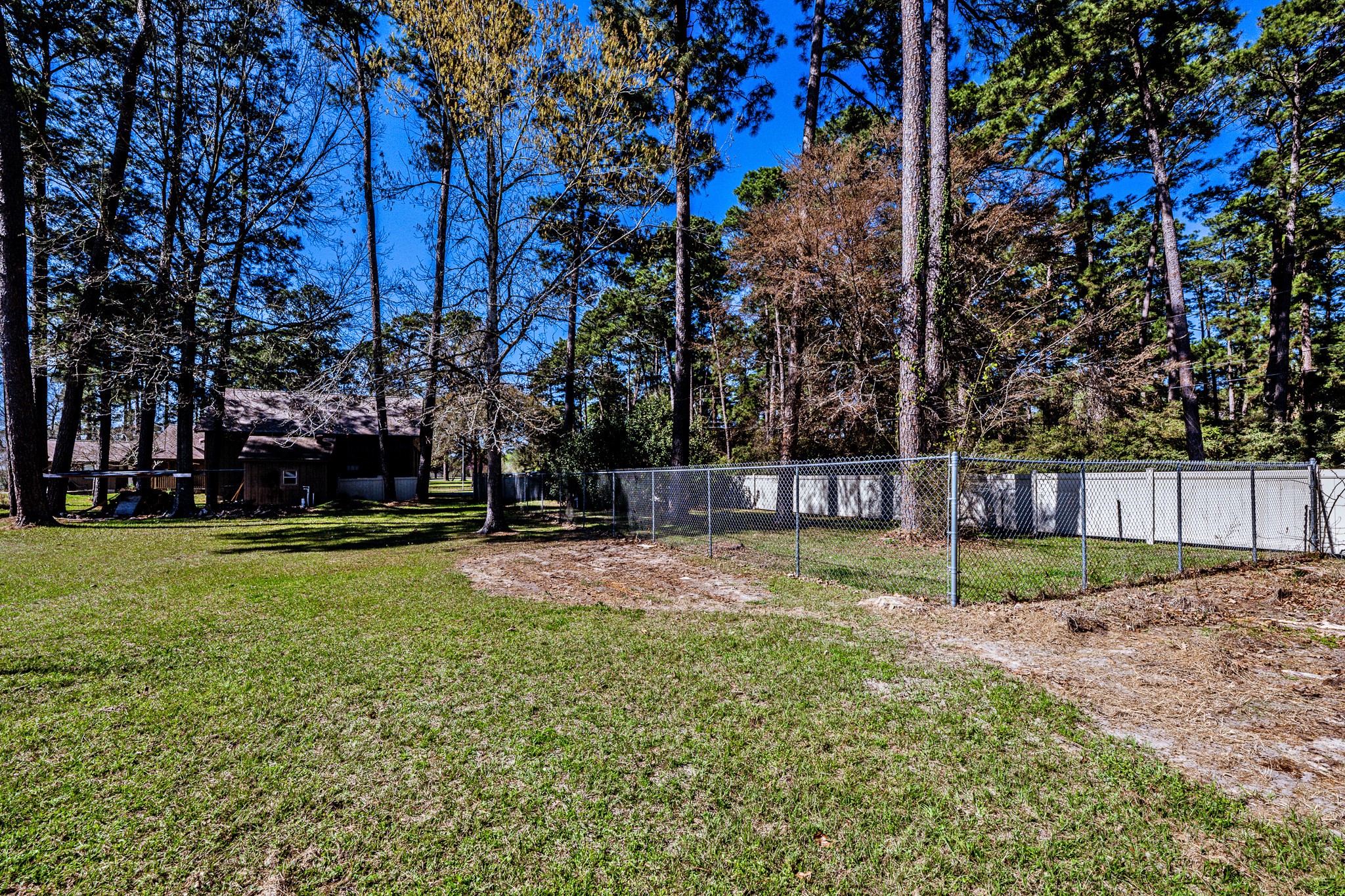 191 Timber Bay Drive Trinity, TX 75862 - Photo 41 of 48 Dog run area.