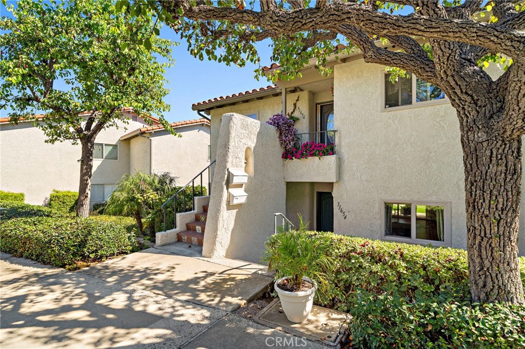 31654 West Nine Drive Laguna Niguel, CA 92677 - Photo 43 of 57 a front view of a house with plants