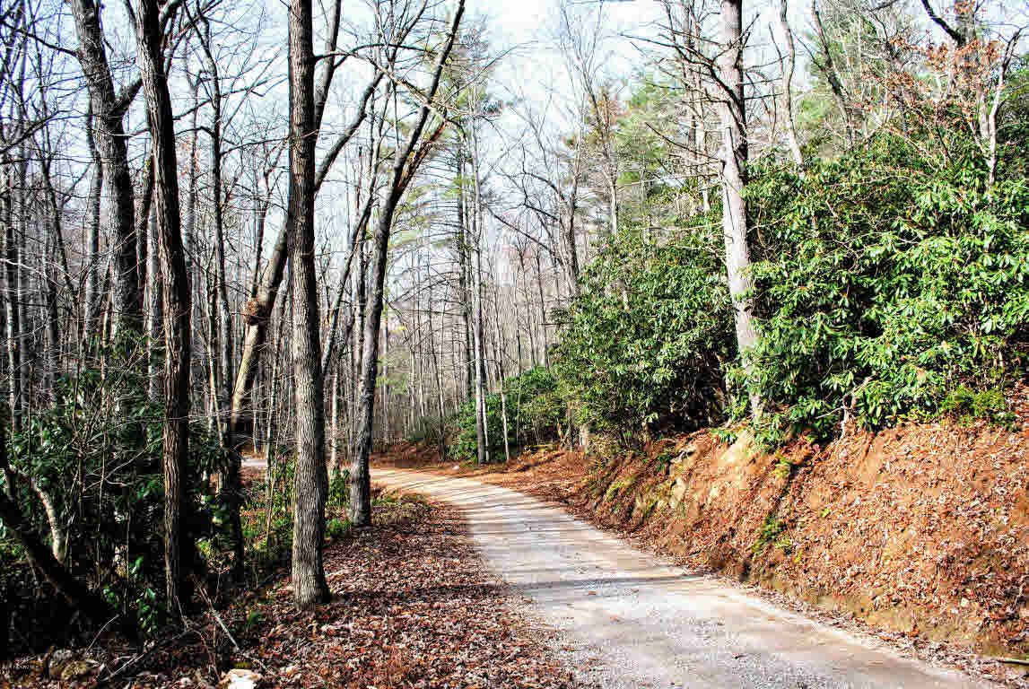 15.126 Eanes Road Check, VA 24072 - Photo 4 of 19 Gallery Image 4