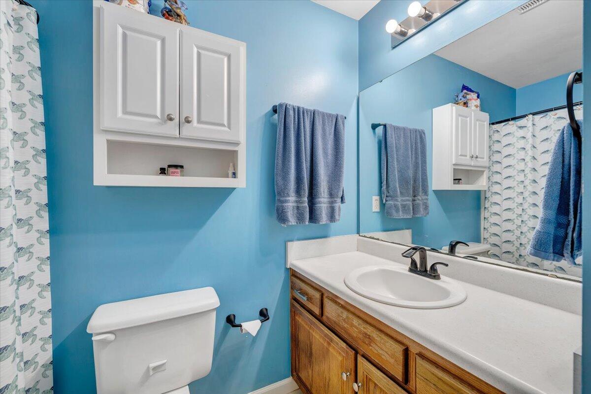 1063 Colony Court Moneta, VA 24121 - Photo 21 of 60 a bathroom with a sink a toilet and mirror
