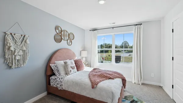 a view of a plant in a garden