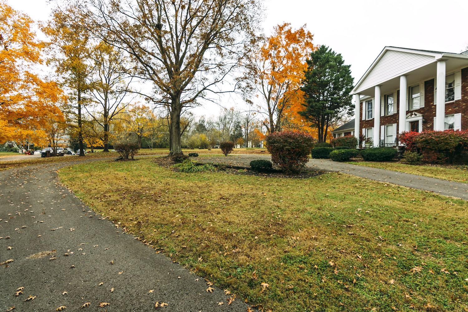 1160 Windsor Drive Gallatin, TN 37066 - Photo 5 of 7 a backyard of a house with lots of green space