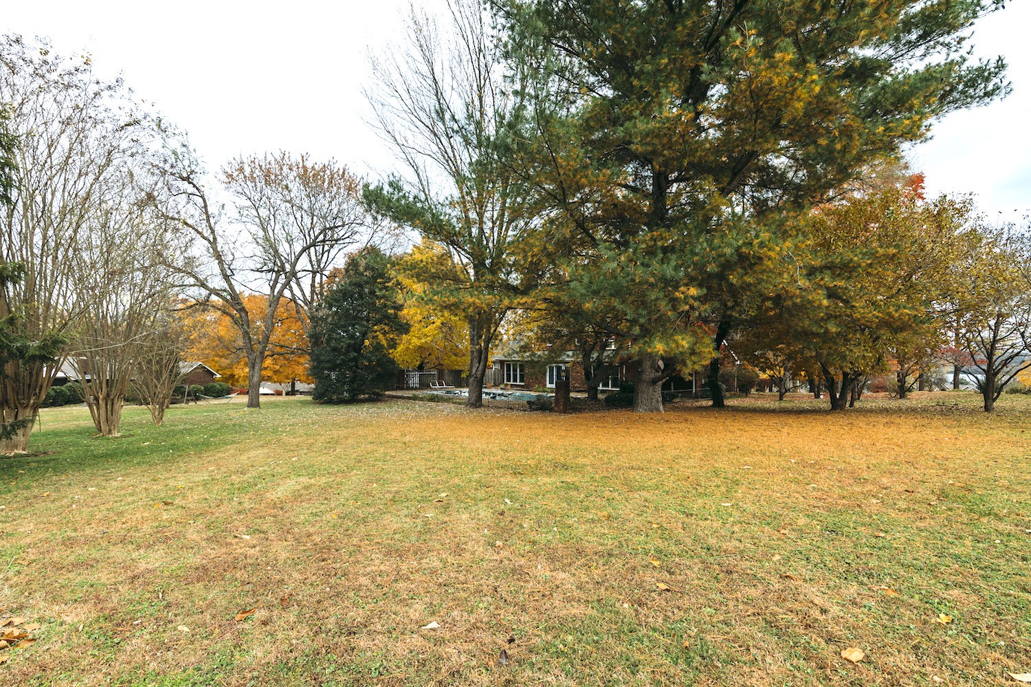 1160 Windsor Drive Gallatin, TN 37066 - Photo 7 of 7 a view of yard with swimming pool and trees