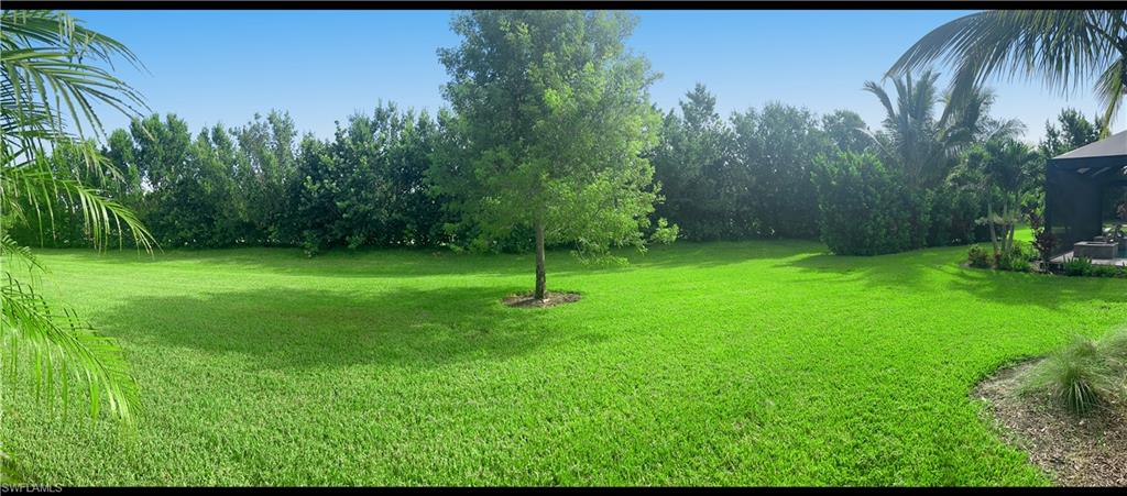 1975 Mustique Street Naples, FL 34120 - Photo 37 of 42 a view of a park with a tree in the background