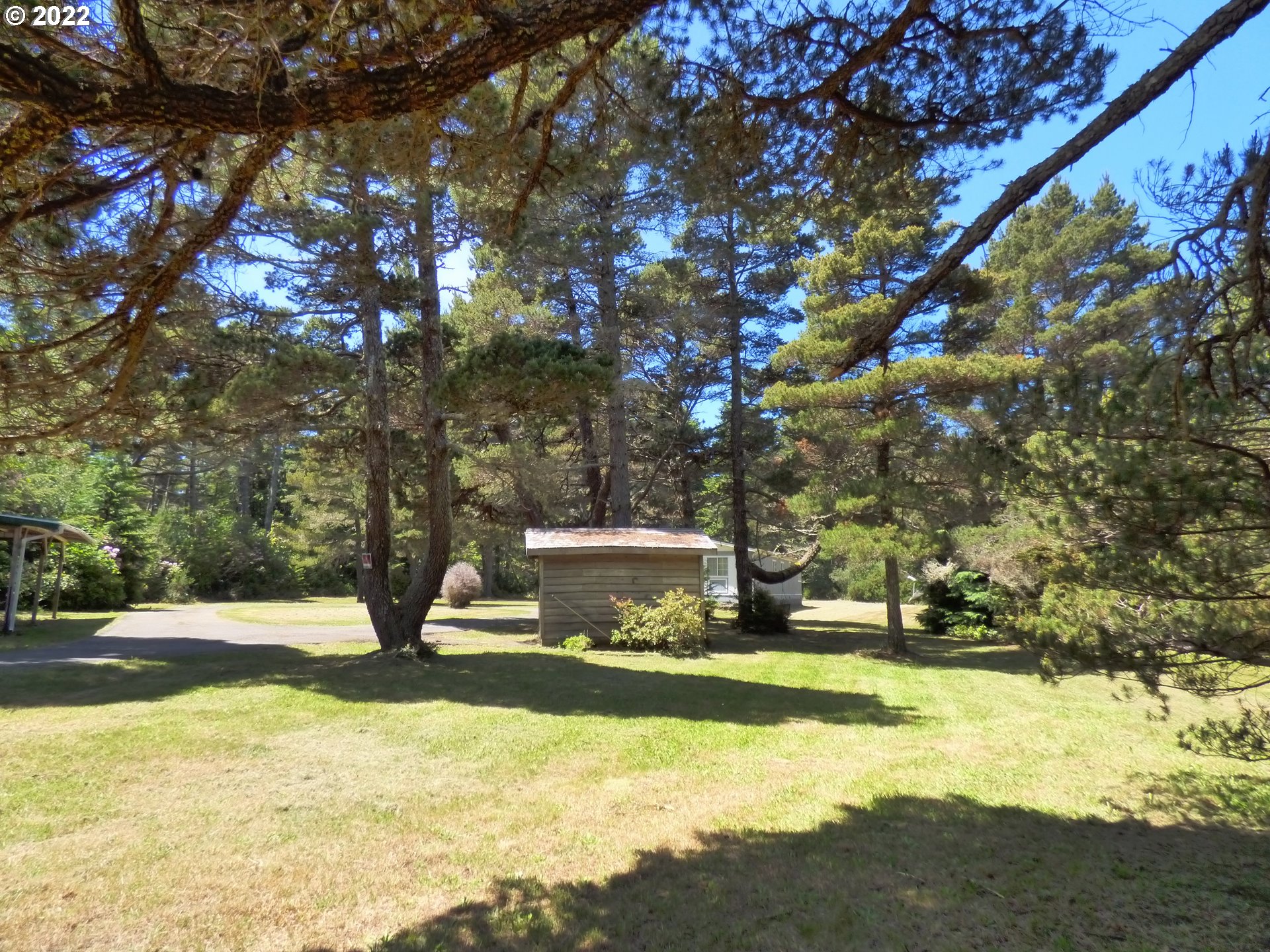 59254 Seven Devils Road Bandon, OR 97411 - Photo 12 of 31 a view of a yard with swimming pool