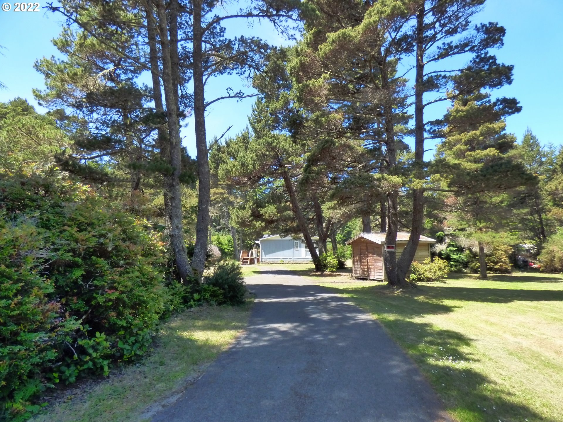 59254 Seven Devils Road Bandon, OR 97411 - Photo 6 of 31 a view of yard with tree in back