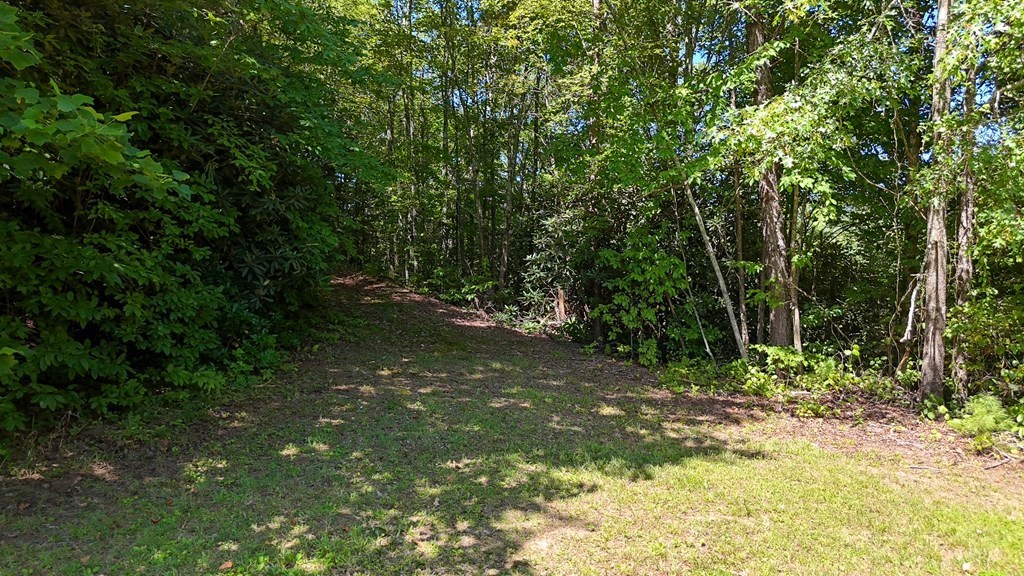 2069 Andrews Road Murphy, NC 28906 - Photo 3 of 12 a view of forest