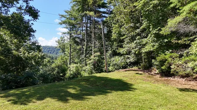 a view of yard with green space