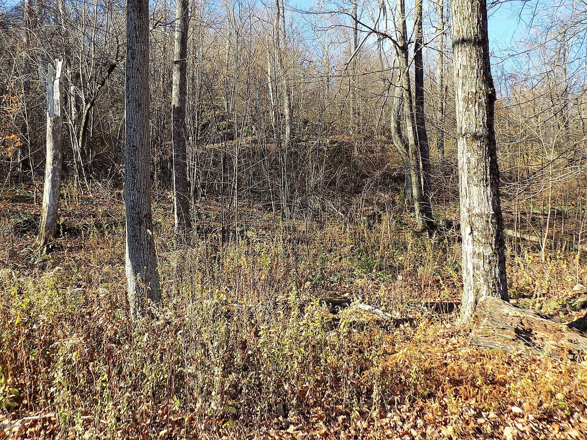 57-acres Sterling Road Newfoundland, PA 18445 - Photo 13 of 21