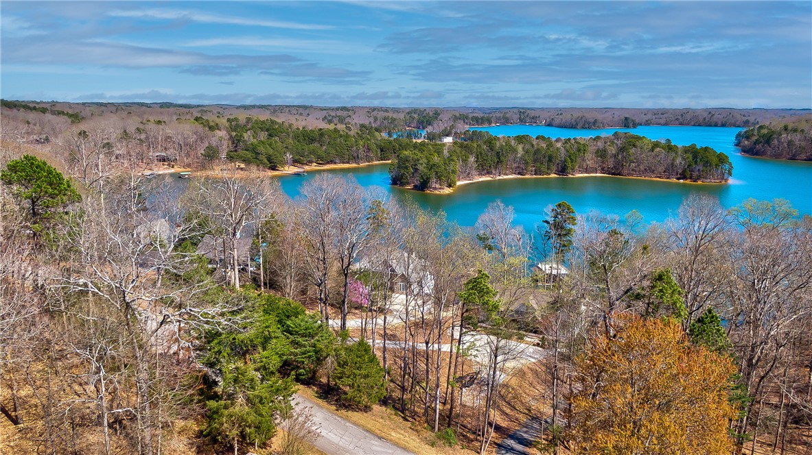 236 Riverlake Road Fair Play, SC 29643 - Photo 4 of 17 Gallery Image 4
