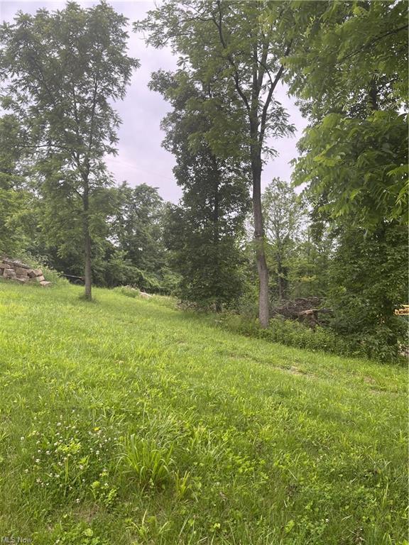 9761 Dutch School Road Dresden, OH 43821 - Photo 10 of 16 1A295274-E09B-410F-A640-4B4EE7432327