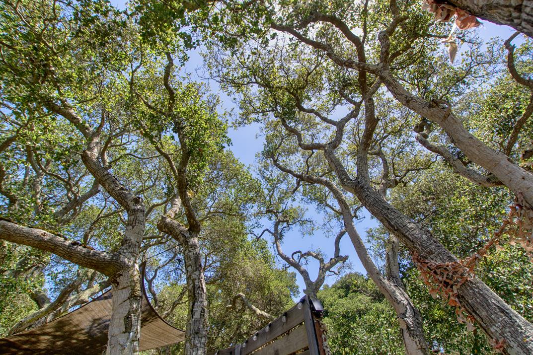425 Echo Valley Road Salinas, CA 93907 - Photo 37 of 60