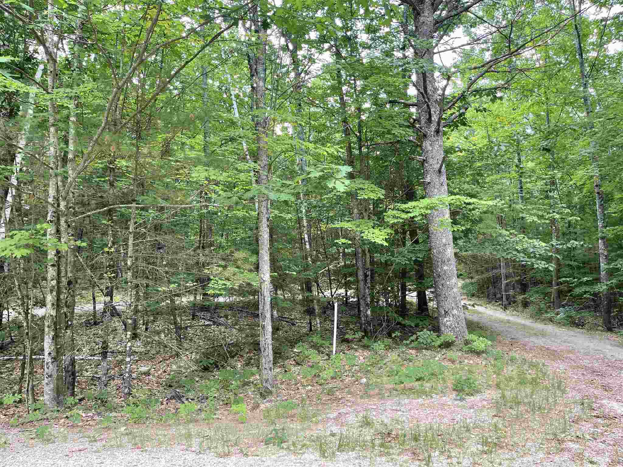 201 Walsh Road Wakefield, NH 03872 - Photo 5 of 36 Gallery Image 5