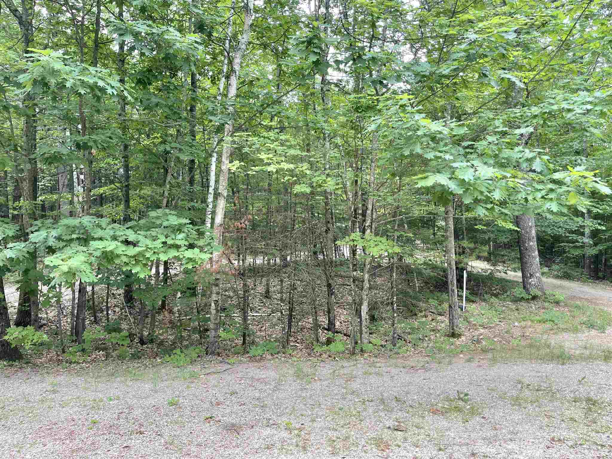 201 Walsh Road Wakefield, NH 03872 - Photo 7 of 36 Gallery Image 7