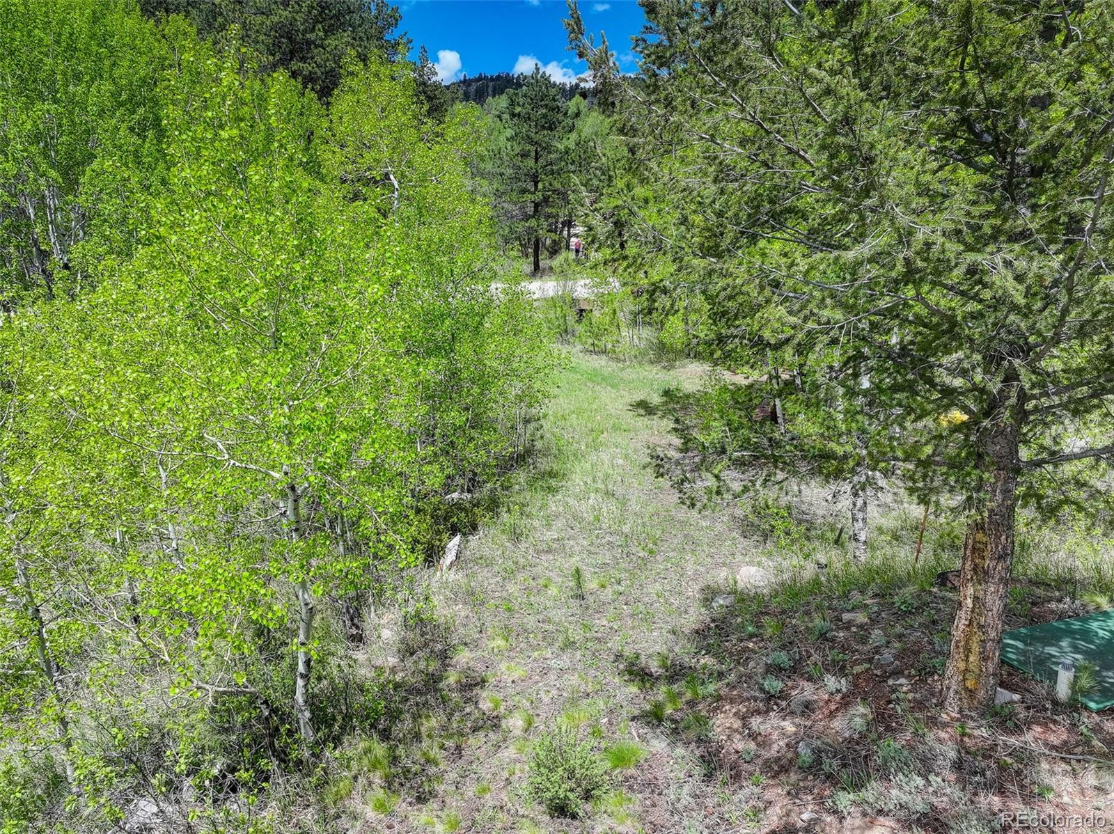 400 Crow Valley Road Bailey, CO 80421 - Photo 16 of 28