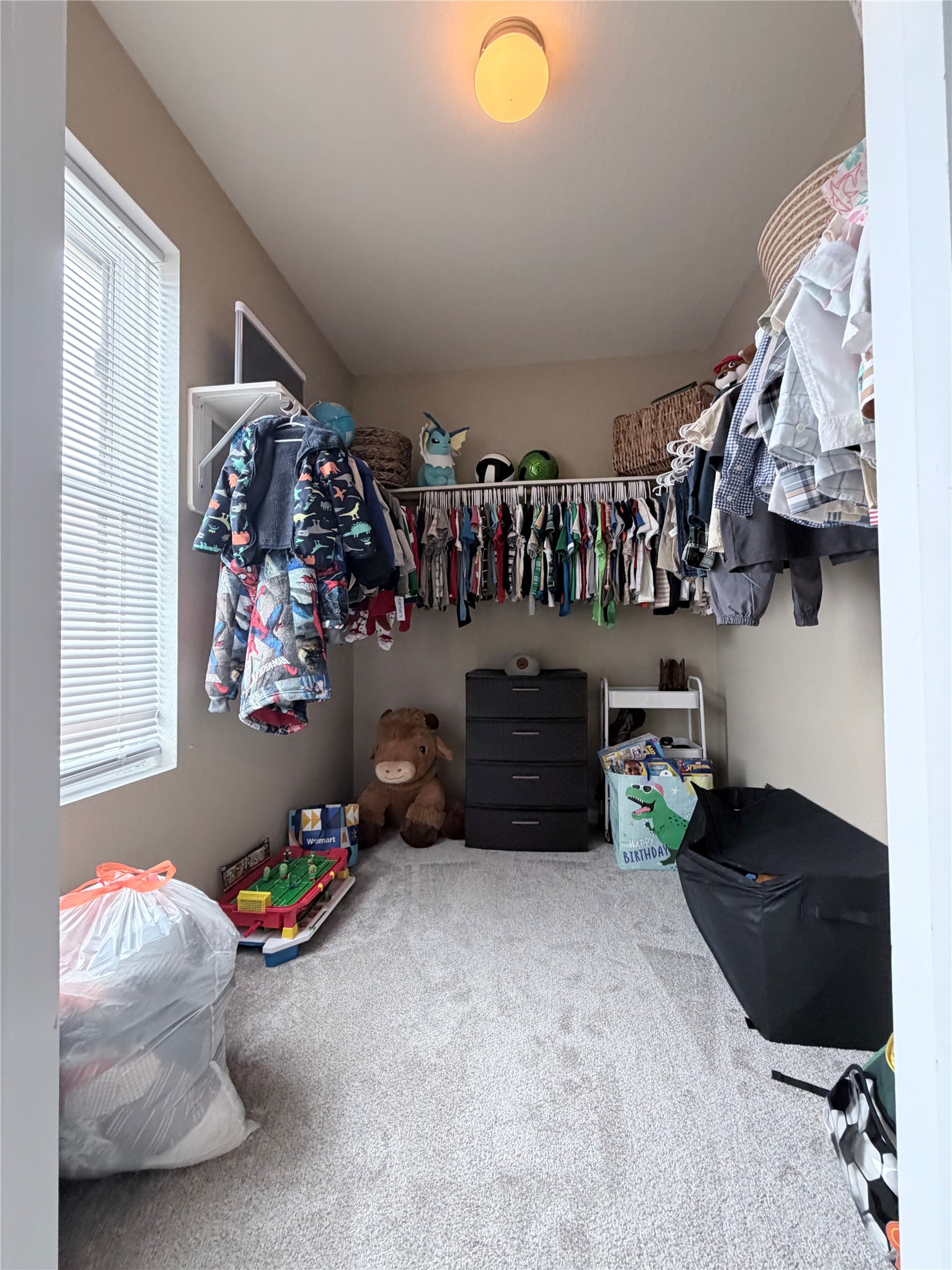 3226 Dappled Vale Trail Spring, TX 77373 - Photo 13 of 26 A cozy carpeted walk-in closet with ample natural light.