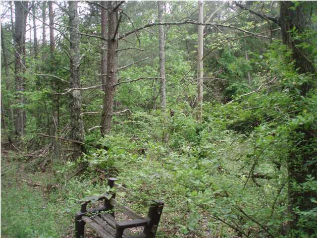 184 Clear Creek Road Dayton, TN 37321 - Photo 1 of 6 Primary Photo