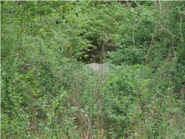 184 Clear Creek Road Dayton, TN 37321 - Photo 5 of 6 Additional Photo