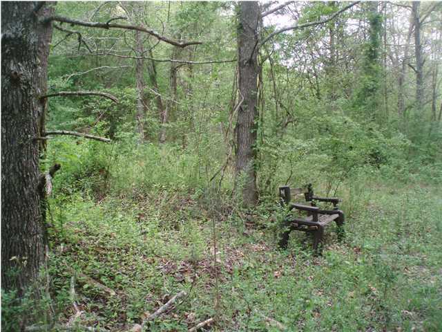 184 Clear Creek Road Dayton, TN 37321 - Photo 6 of 6 Additional Photo