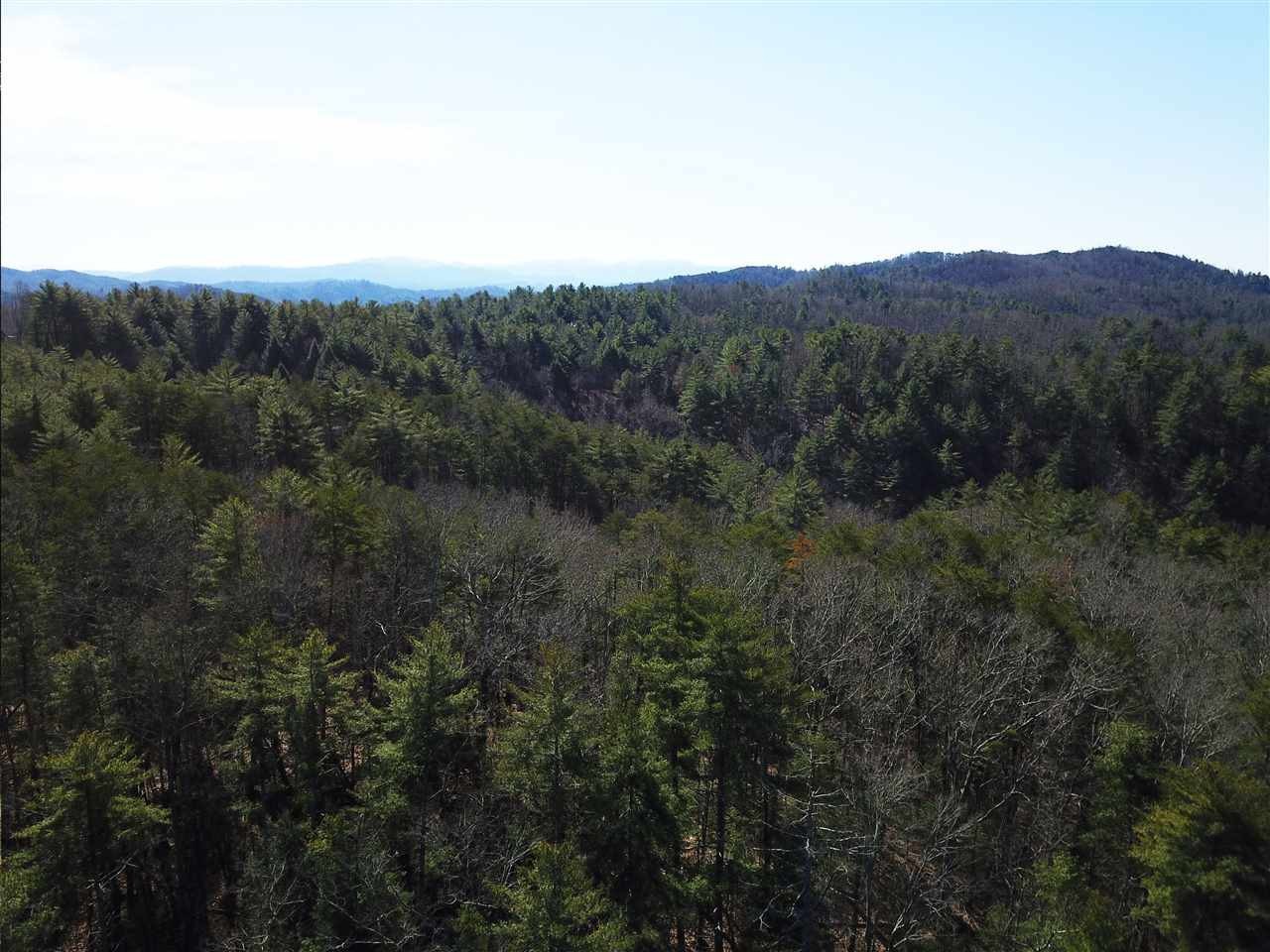 0 Towee Pike Reliance, TN 37369 - Photo 31 of 41