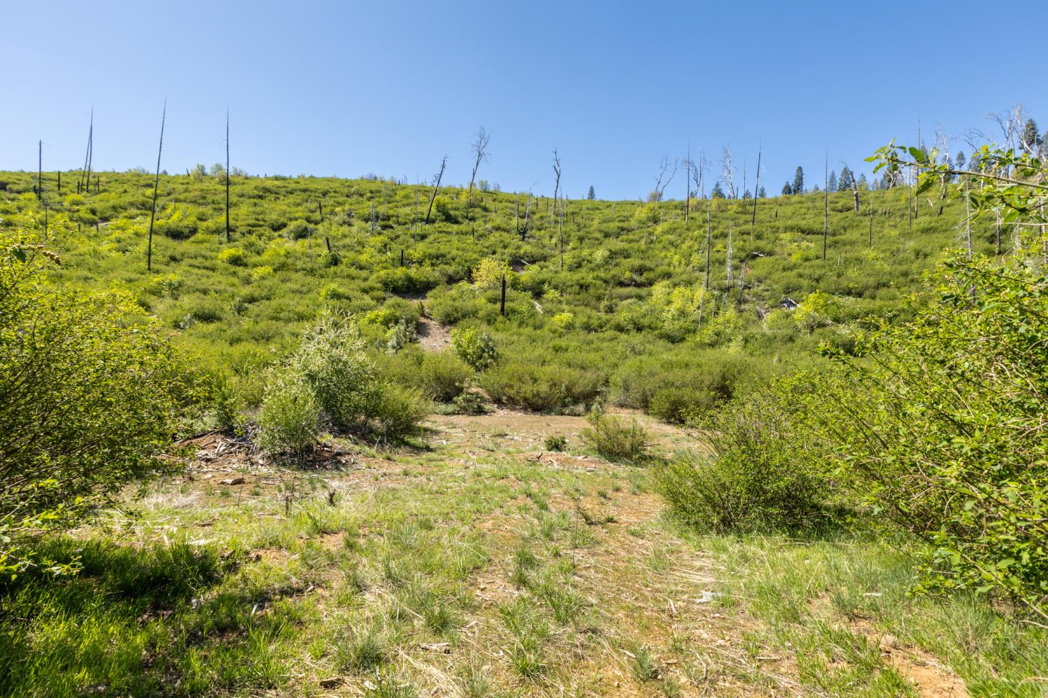 40 Wentworth Springs Road Georgetown, CA 95634 - Photo 11 of 32