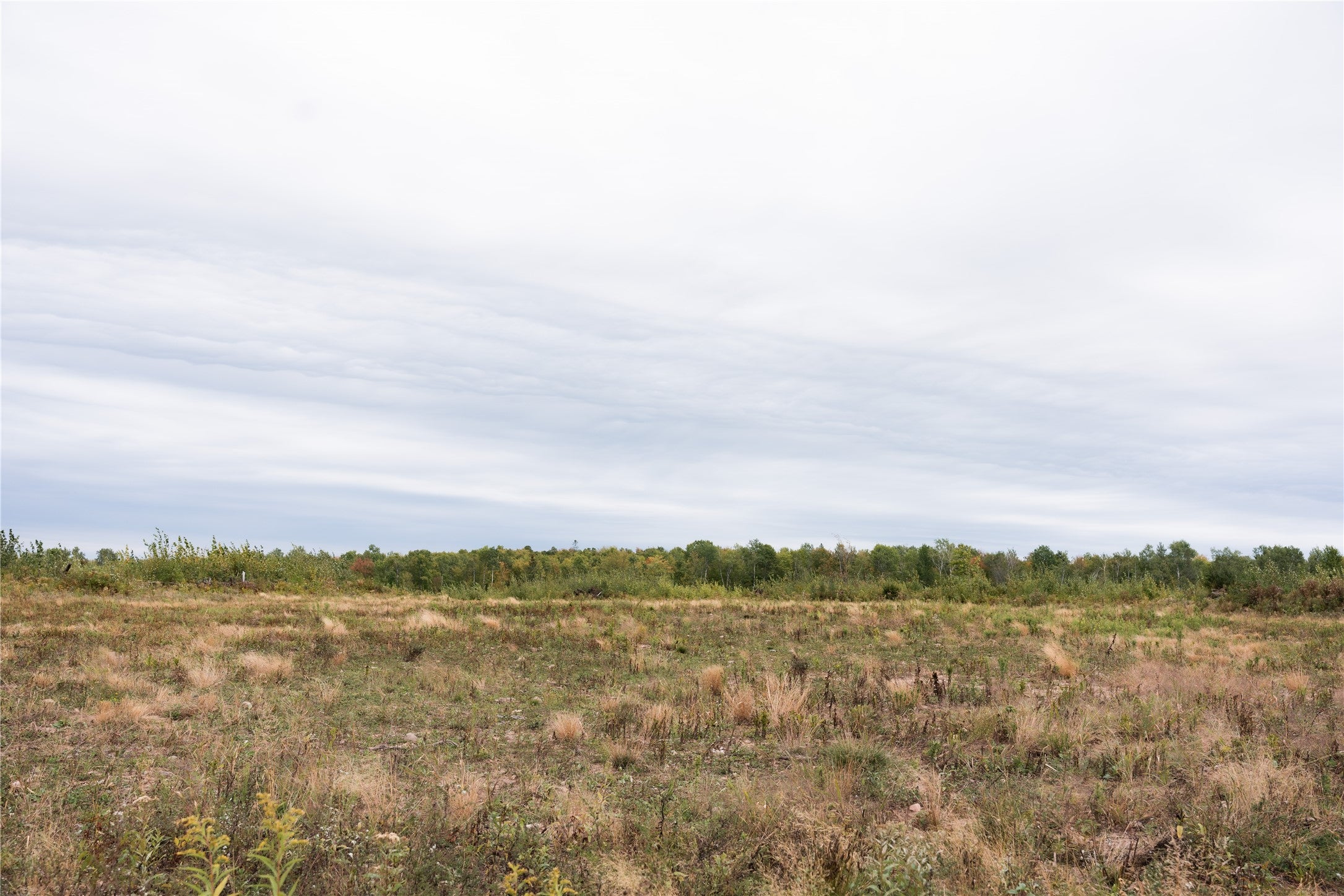 0 Girod Road Ladysmith, WI 54848 - Photo 13 of 19 Gallery Image 13