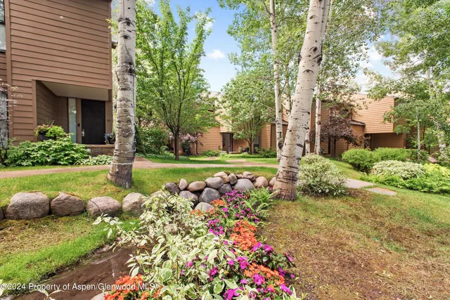$35,000 | 155 Lone Pine Road, Unit 8, Aspen, CO 81611