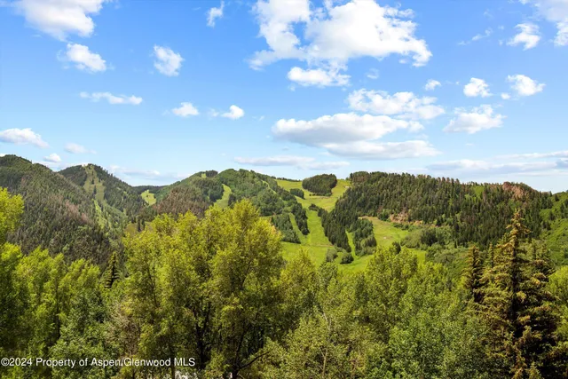 $35,000 | 155 Lone Pine Road, Unit 8, Aspen, CO 81611