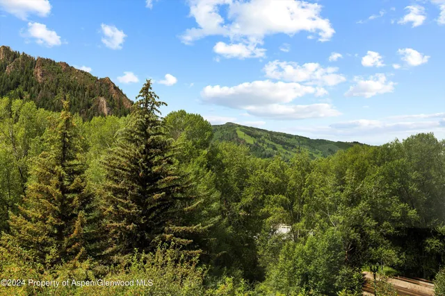$35,000 | 155 Lone Pine Road, Unit 8, Aspen, CO 81611
