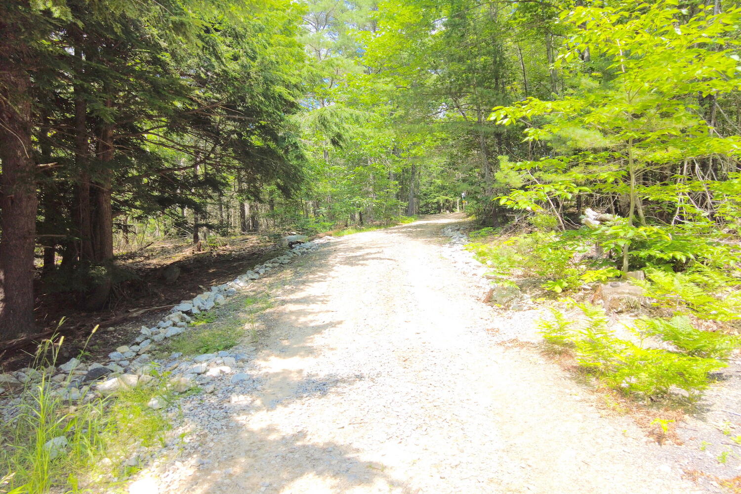 Tbd Roberts Pond Road Lyman, ME 04002 - Photo 12 of 37 Access