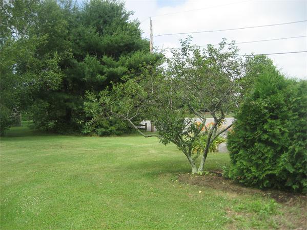 134 Marehaven Drive Seekonk, MA 02771 - Photo 5 of 17