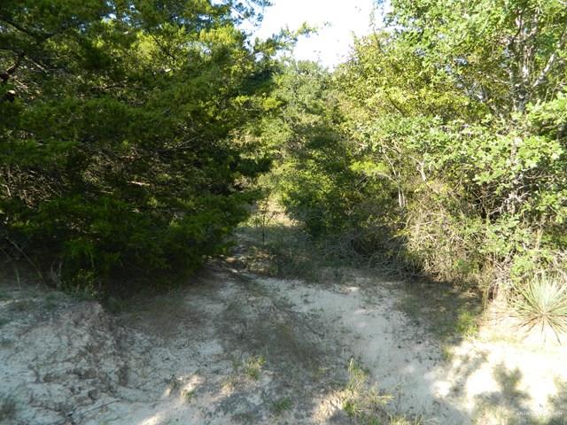 7075 State Highway Bryan, TX 77807 - Photo 11 of 36