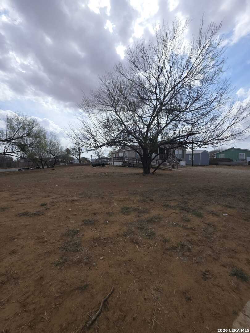 311 East Frio Street Dilley, TX 78017 - Photo 23 of 24 a view of yard covered with green space