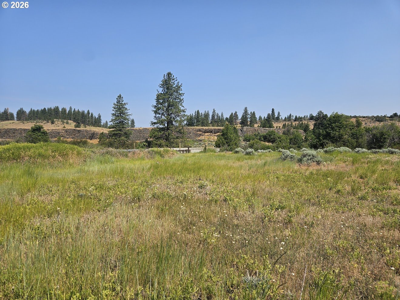 Olson Road Centerville, WA 98613 - Photo 5 of 25