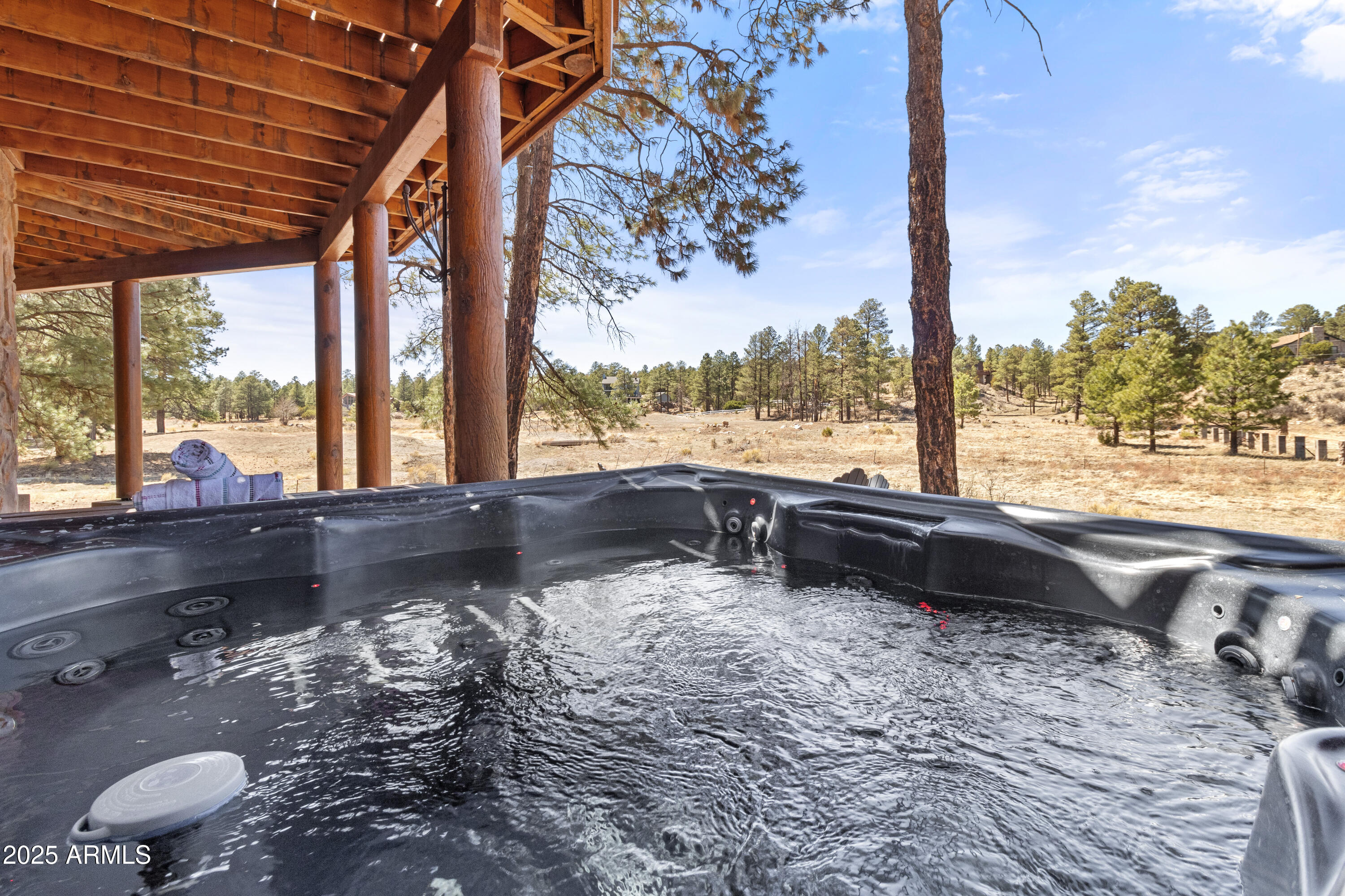 2802 Zane Grey Boulevard Overgaard, AZ 85933 - Photo 41 of 46 2802 Zane Grey, Overgaard (42)