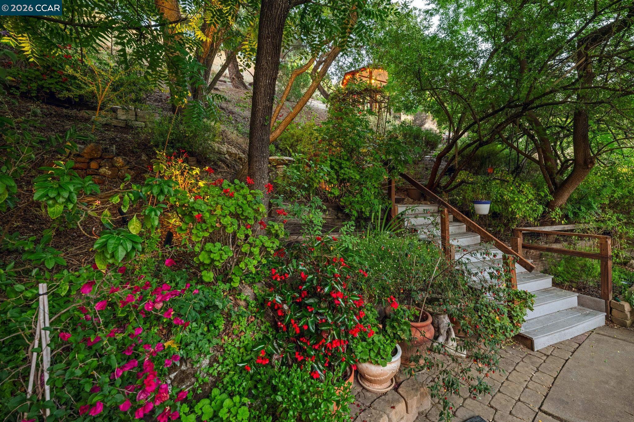 205 Summit Road Walnut Creek, CA 94598 - Photo 43 of 55
