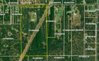 22815 West Almy Road Howard City, MI 49329 - Photo 32 of 44 20220511121325023377000000-o (1)