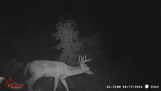 22815 West Almy Road Howard City, MI 49329 - Photo 34 of 44 WGI_0363