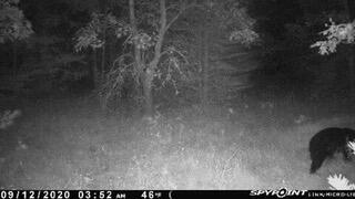 22815 West Almy Road Howard City, MI 49329 - Photo 41 of 44 20220511121325228272000000-o (1)
