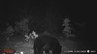 22815 West Almy Road Howard City, MI 49329 - Photo 42 of 44 WGI_0011