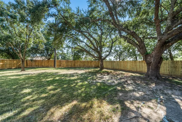 a view of backyard with tree