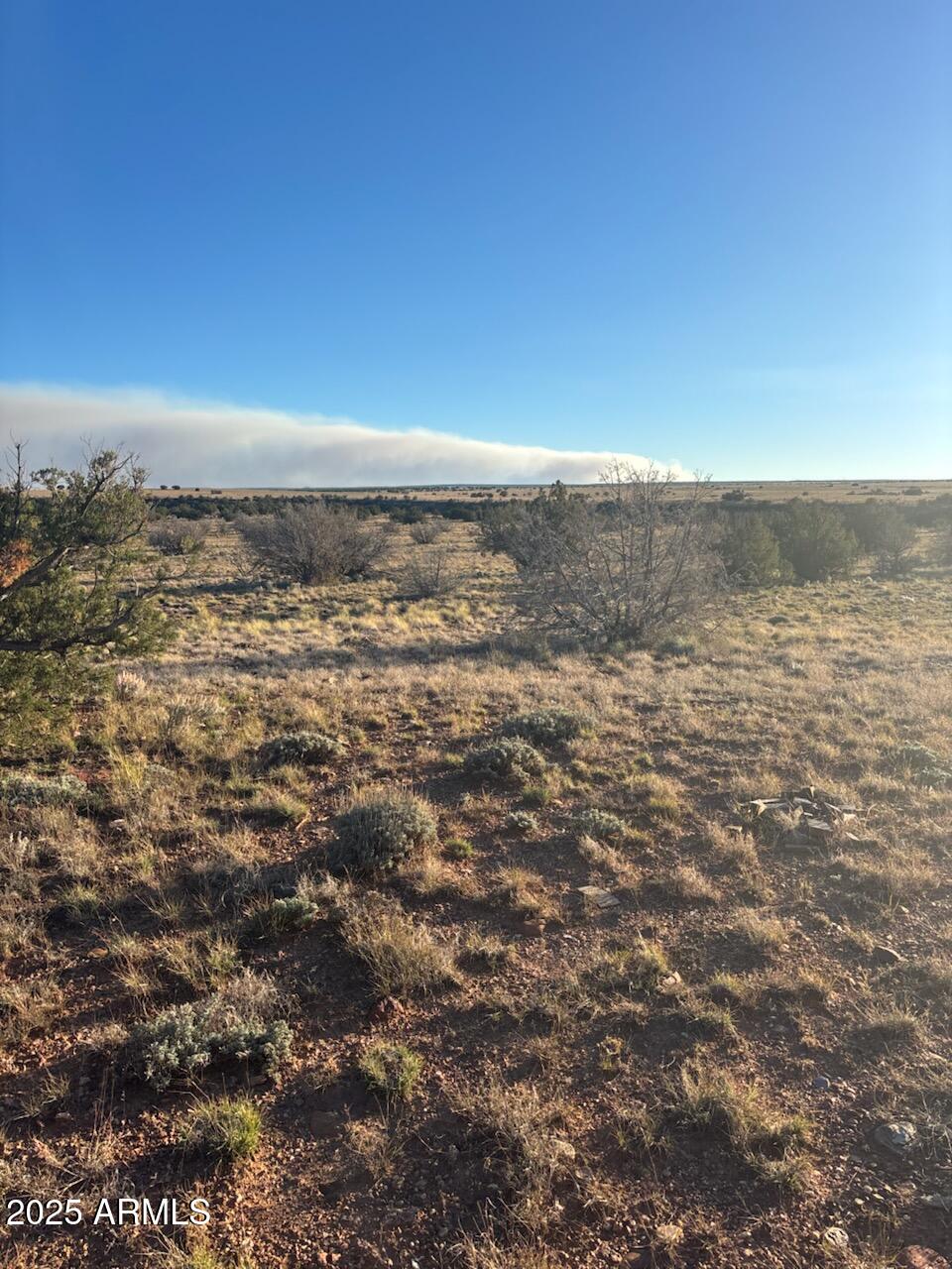 1565 Pumpkin Patch Road Heber, AZ 85928 - Photo 7 of 10 a view of an ocean
