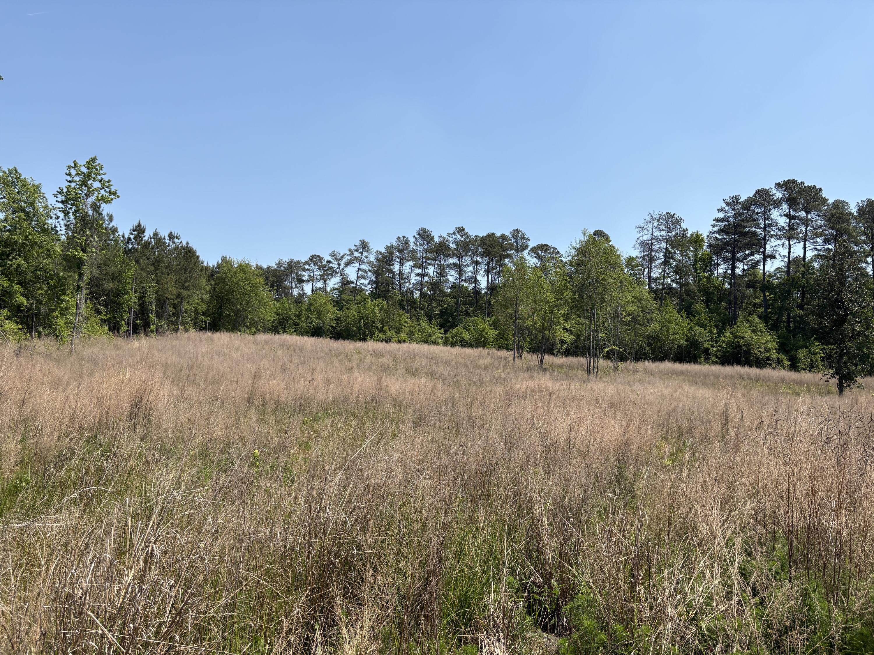 0 CCC Road, Unit 250801001 Beech Island, SC 29842 - Photo 4 of 11 IMG_6762